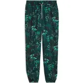 Puma GREEN TERRAINS Woven Joggers Women, Sport, S