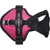 JULIUS K-9 Longwalk Light Hundesele