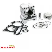 MALOSSI Aluminium Rieju Marathon Pro 125 Sylinder