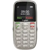 Siemens GL395 Dual Sim Silver
