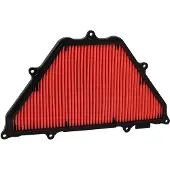Champion Parts Caf0716 Luftfilter