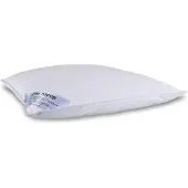 Zen Sleep Moskus dunpute - Mellom 3-kammers hodepute - 50x60 cm -