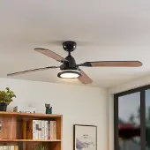 LUCANDE LED-takvifte Tedric, svart, stillegående, 133 cm