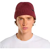 Dickies Woodworth Lue rød
