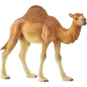 Schleich Dromedar