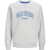Jack & Jones Detroit Collegegenser