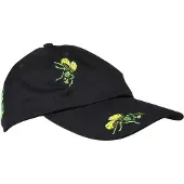 Santa Cruz Flys Cap