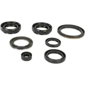 Moose Hard-parts Arctic Cat (textron) 400 2x4 Fis Auto 822239mse Oljetetningssett