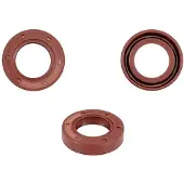 Rms Classic Piaggio Vespa Pk 50cc 289306 100662000 Veivakselens Oljetetting 10 Enheter