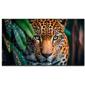 Newline Stv-4324p 43´´ 4k Lcd Skjerm