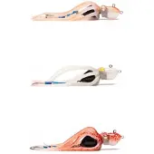 Mustad Blekkrefill Til Inkvader Octopus