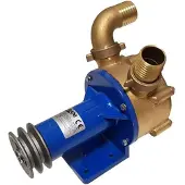 Goldenship 40 Special Pumpe