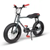 Ruff Cycles Lil Buddy Elektrisk Sykkel