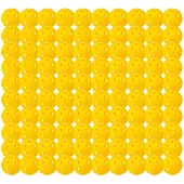 Franklin Indoor X-26 Pickleballballer