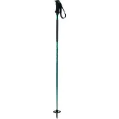 Elan Ripstick Rod W Spaserstokker