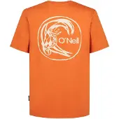 O'Neill O'Riginals Hybrid T-skjorte oransj