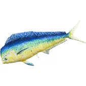 Gaby Den Gigantiske Mahi Mahi-puten