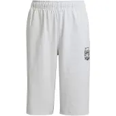 Adidas Originals X Minecraft Shorts