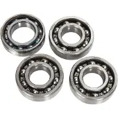 All Balls Yamaha Raptor 700 06-20/se 10 Svingarmlagersett