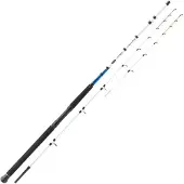 Mitchell Avocet Salt Dorade Jigging Stang