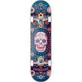Hydroponic Mexican Co 7.75´´ Skateboard