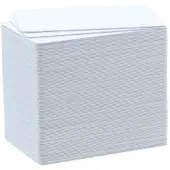 Evolis Badgy PVC Cards x100