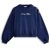 Tommy Hilfiger Ww0ww47837 Collegegenser