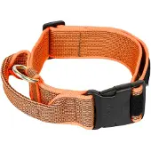 JULIUS K-9 Collar 40 Mm Hundehalsbånd