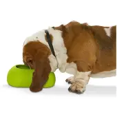 Buster Flexible Hundefôrskål