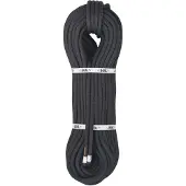 BEAL Intervention Ir 11 Mm Tau