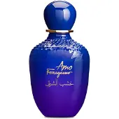 Salvatore Ferragamo - I Love Ferragamo - 100ml