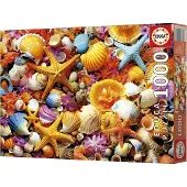 Educa 1000 Shell Collage