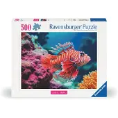 Ravensburger Puslespill 500 Rød dragefisk