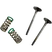 ProX Yamaha Yz/wr 250 F 28.ses2402-1 Springs Inntaksventil