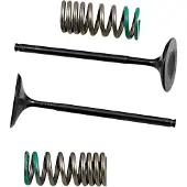 ProX 28.sis1340-2 Springs Inntaksventil
