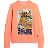 Superdry Neon Travel Loose Collegegenser