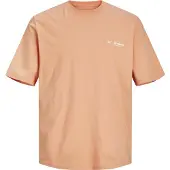 Jack & Jones Sequoia Back Kortarmet T-skjorte