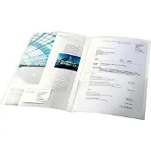 Esselte - Lommemappe - for A4 (210 x 297 mm) - kapasitet: 100 ark - assorterte farger (en pakke 5)