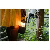 Pure Woodland Glow Bluetooth-høyttaler