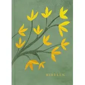 Bibelselskabet Bibelen
