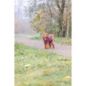 Trixie Pirou Hundegenser