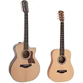 Taylor Guitars Taylor 354ce 12-String Natural