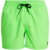 Quiksilver Everyday Solid Volley 15 Boardshorts grønn