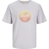 Jack & Jones Aruba Sunset Branding Kortarmet T-skjorte