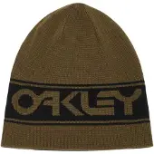 Oakley Apparel TNP Reversible Lue grønn