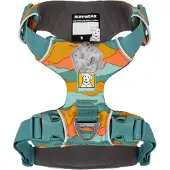Ruffwear Front Range Hundesele