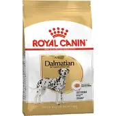 Royal Canin Dalmatian Adult - Økonomipakke: 2 x 12 kg
