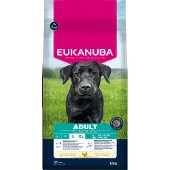 Eukanuba Hundefôr For Voksne Hunder L Xl Rik På Kylling 15 Kg