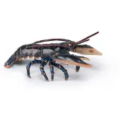 Papo Lobster, Flerfarget, 1 stykker