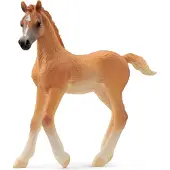 Schleich Kaedra IP65 kapsling 2R 36M